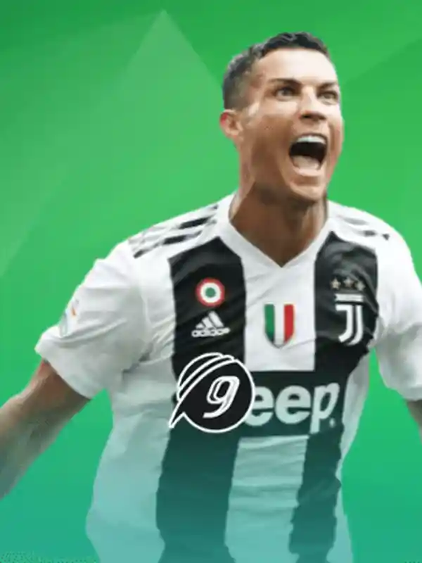 9Wickets খেলাধুলা বেটিং - bajivip